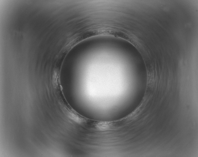 X0000066940142200603241152