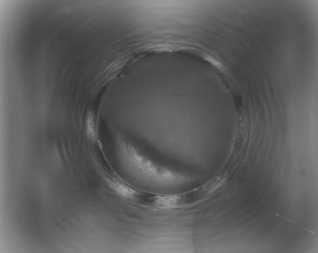 X0000066940143200603241152