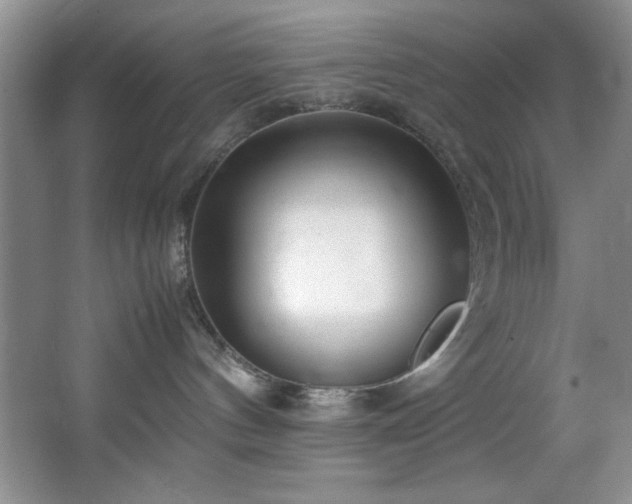 X0000066940144200603241152