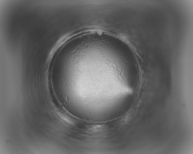 X0000066940151200603241151