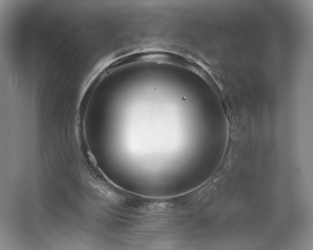 X0000066940152200603241151