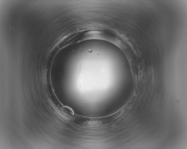 X0000066940154200603241151