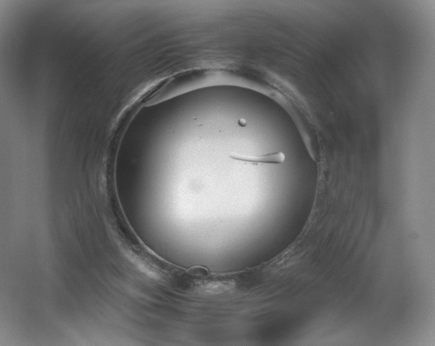 X0000066940155200603241151