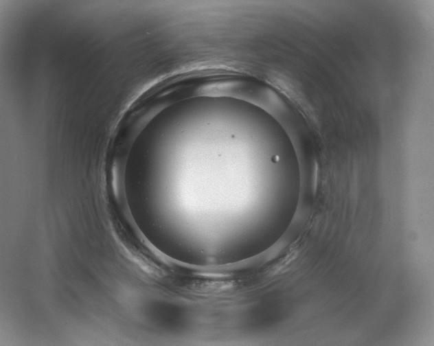 X0000066940156200603241151