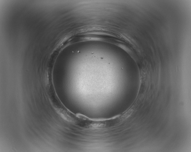 X0000066940158200603241151