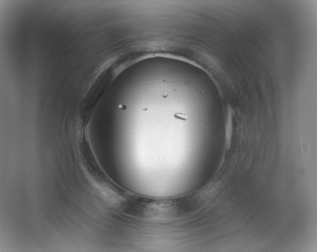 X0000066940164200603241151