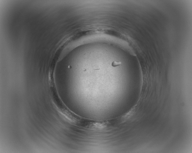 X0000066940166200603241151