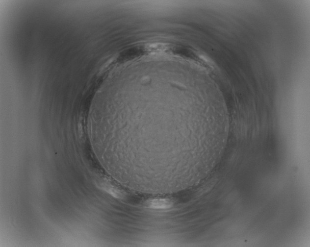 X0000066940169200603241151