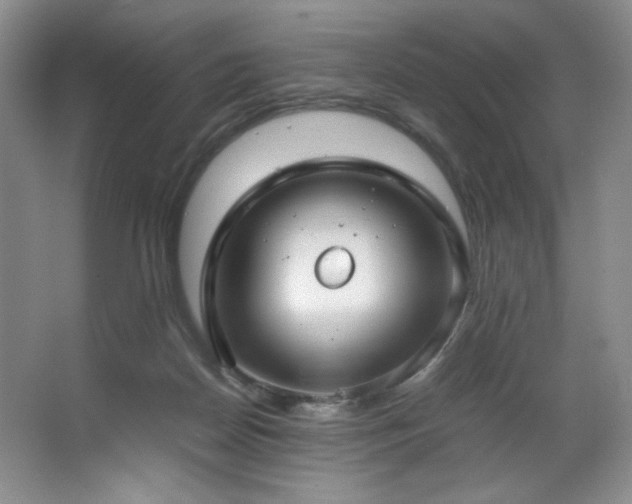 X0000066940170200603241151