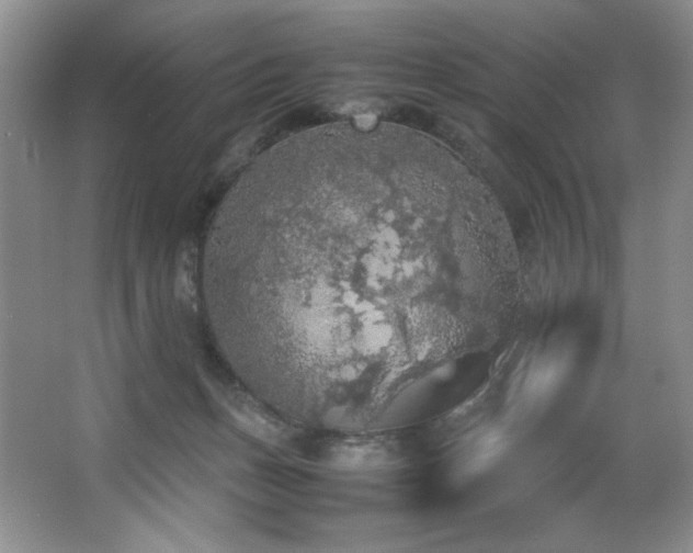 X0000066940175200603241151