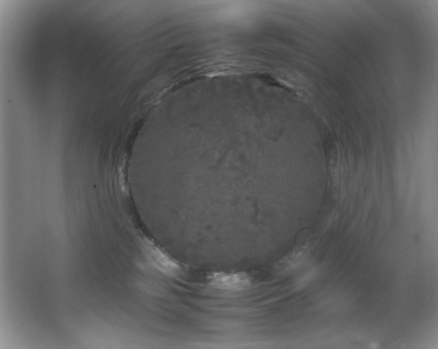 X0000066940185200603241152