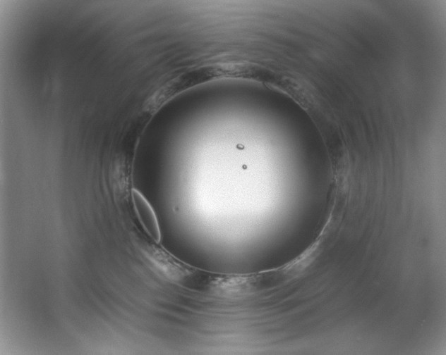 X0000066940186200603241152