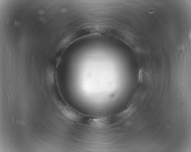 X0000066940188200603241152