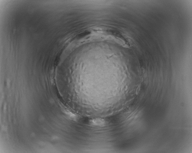 X0000066940189200603241152