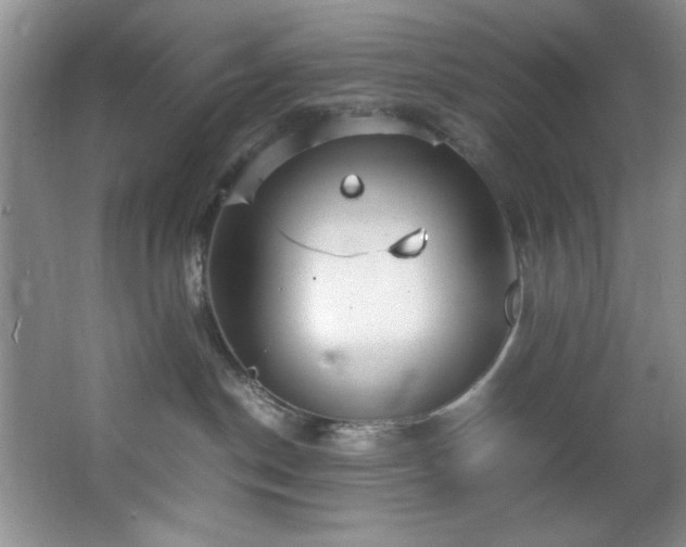 X0000066940190200603241152