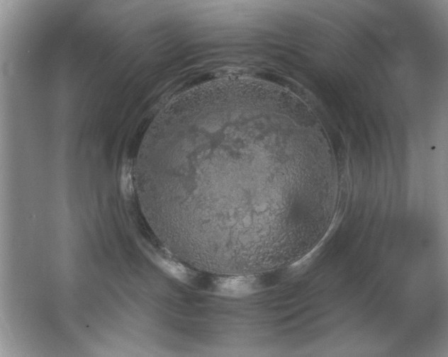 X0000066940191200603241152