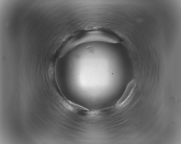 X0000066940192200603241152