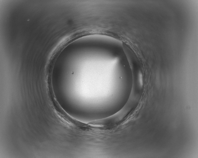 X0000066940197200603241151