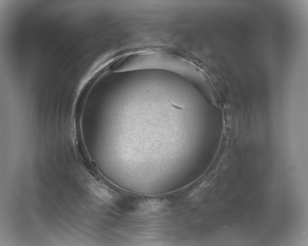 X0000066940198200603241151