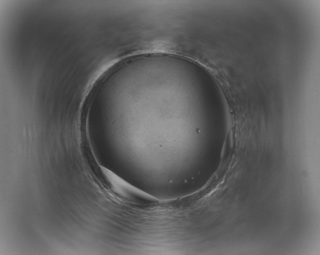 X0000066940200200603241151