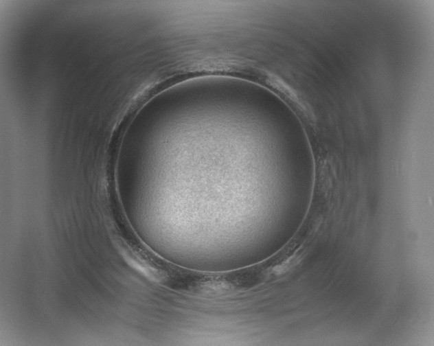 X0000066940203200603241151