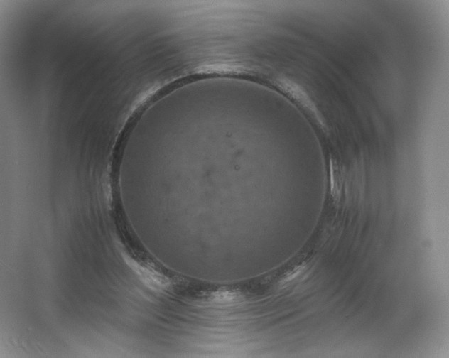 X0000066940204200603241151