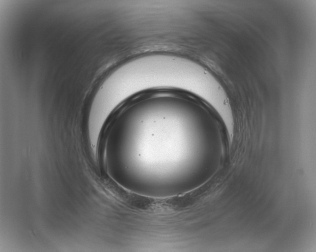 X0000066940207200603241151