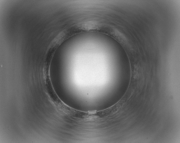 X0000066940210200603241151