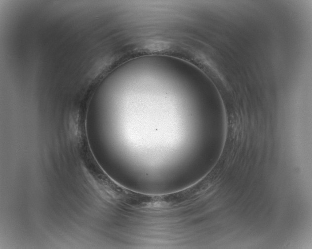 X0000066940212200603241150