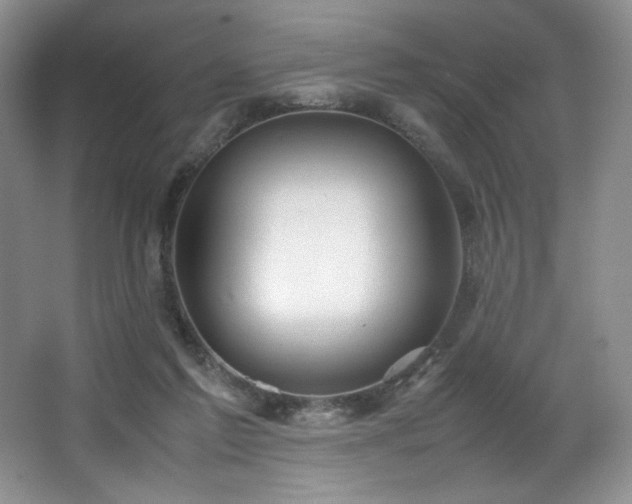 X0000066940213200603241150