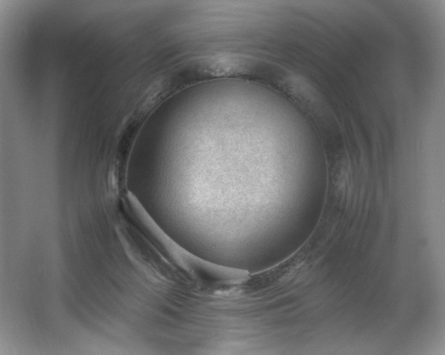 X0000066940214200603241150