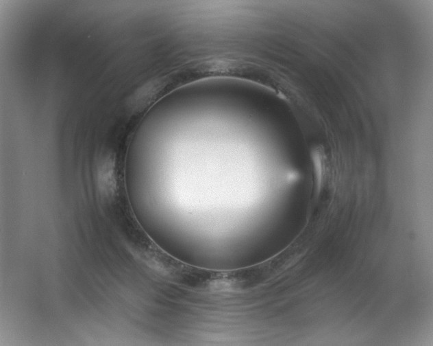 X0000066940216200603241150