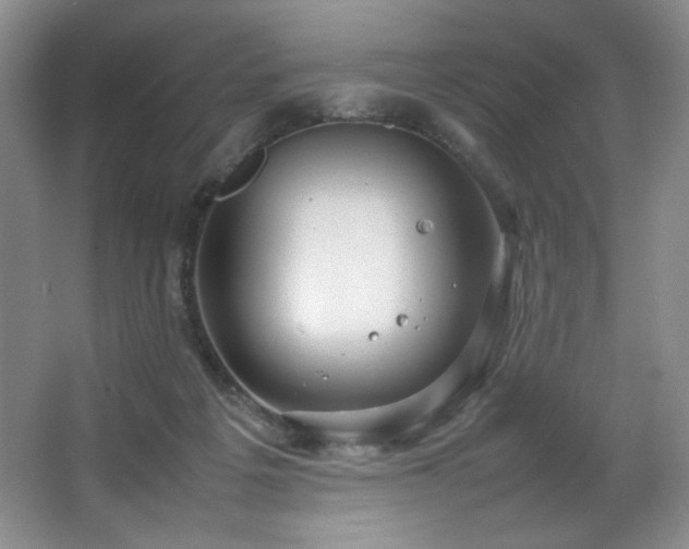 X0000066940217200603241150