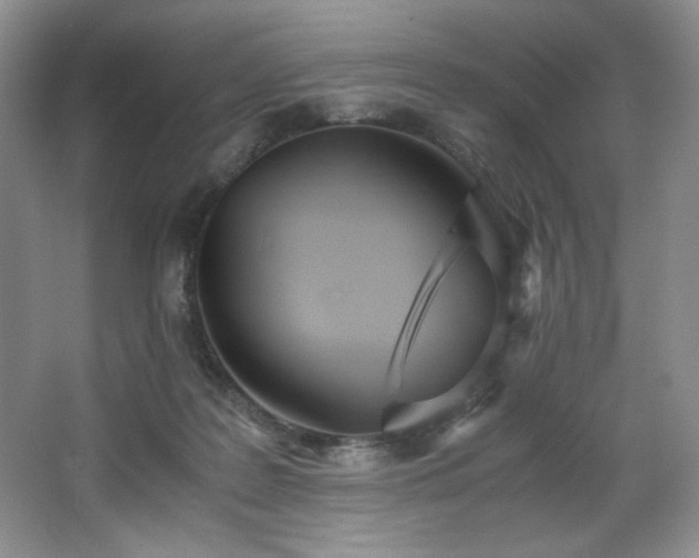 X0000066940219200603241150