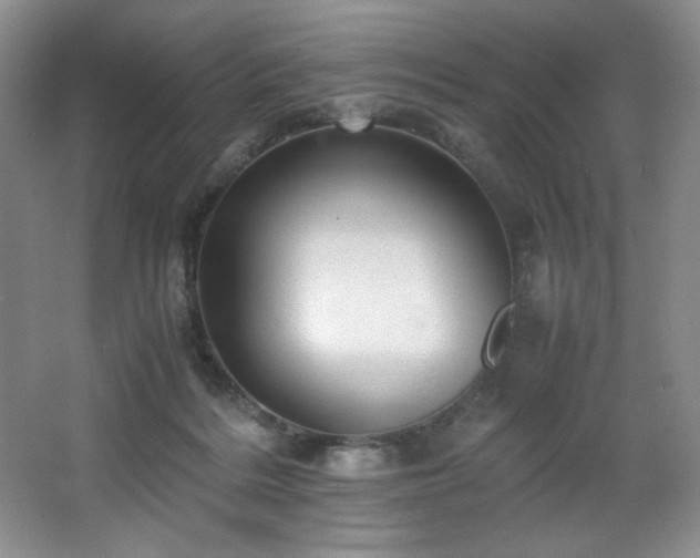 X0000066940220200603241150