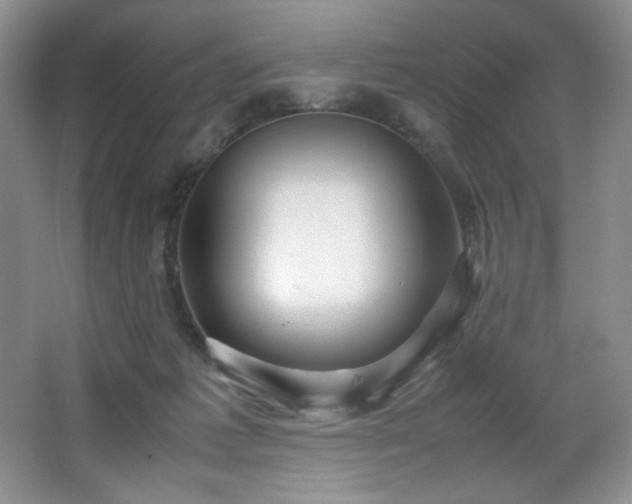 X0000066940221200603241150