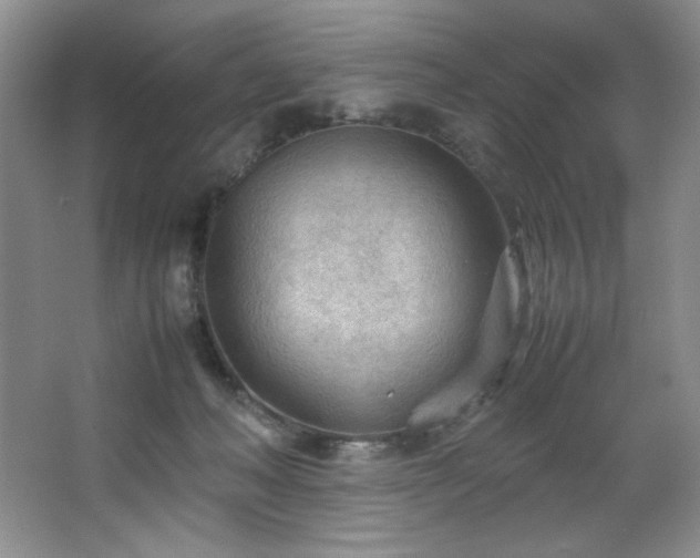 X0000066940222200603241150