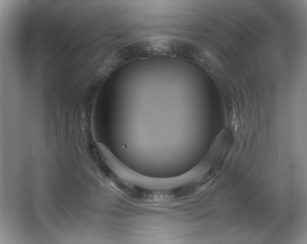 X0000066940223200603241150