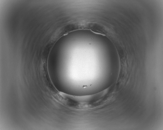 X0000066940225200603241150