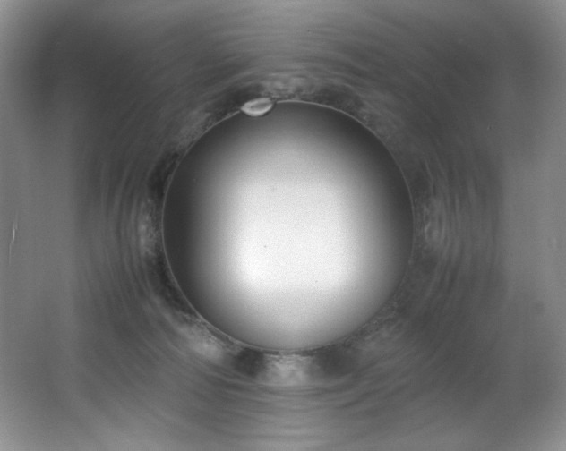 X0000066940226200603241150