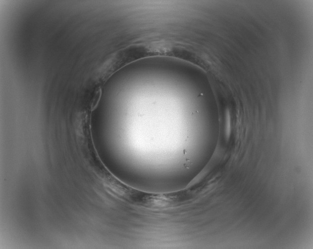 X0000066940229200603241150