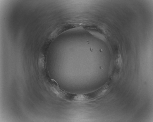 X0000066940231200603241150