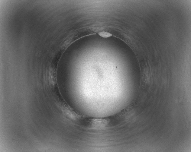 X0000066940234200603241150