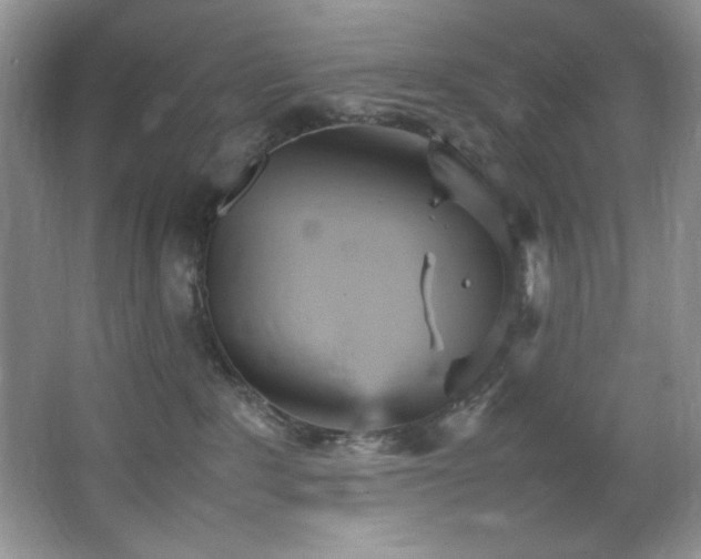 X0000066940235200603241150