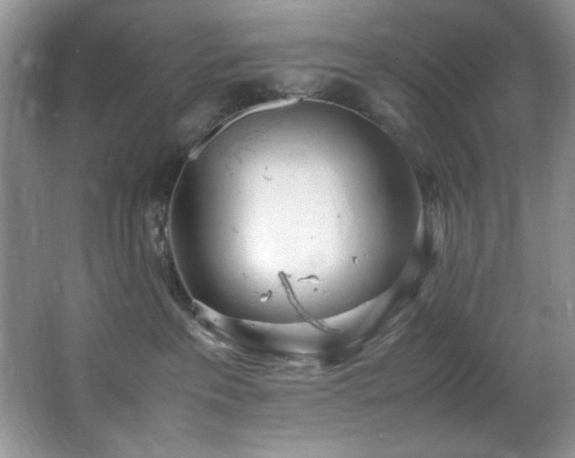 X0000066940237200603241150