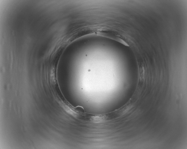 X0000066940238200603241150