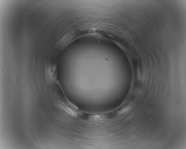 X0000066940239200603241150