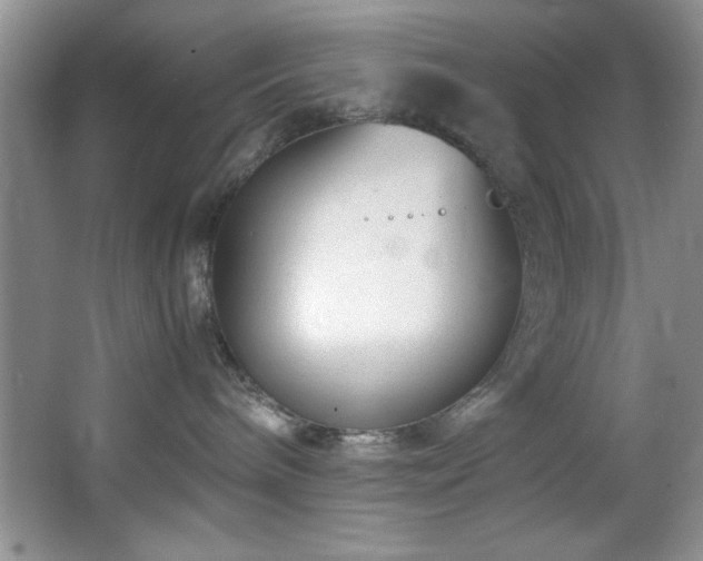 X0000066940240200603241150