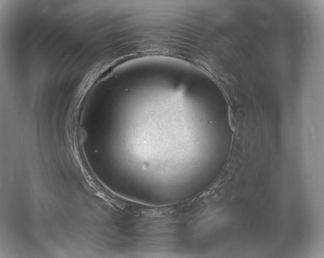 X0000066940241200603241149