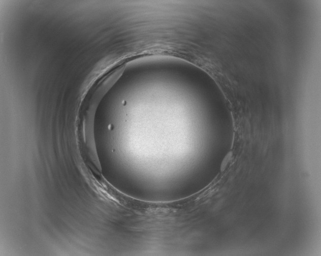 X0000066940242200603241149